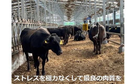 松阪牛の品評会で最優秀賞受賞歴のある 加藤牧場の黒毛和牛 ロース･肩ロース 1kg/牛肉 国産牛 国産 和牛 大容量 冷凍便 年末年始 お正月 黒毛和牛 ロース 肩ロース 肉 上質 家族 焼肉 しゃぶしゃぶ すき焼き 鍋 おいしい 美味しい 人気 おすすめ 三重県 四日市市 ふるさと納税 ロース・肩ロース　1kg