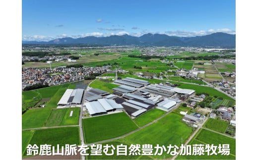 松阪牛の品評会で最優秀賞受賞歴のある 加藤牧場の黒毛和牛 ロース・肩ロース 500g/牛肉 国産牛 国産 和牛 大容量 冷凍便 年末年始 お正月 黒毛和牛 ロース 肩ロース 肉 上質 家族 焼肉 しゃぶしゃぶ すき焼き 鍋 おいしい 美味しい 人気 おすすめ 三重県 四日市市 ふるさと納税 ロース・肩ロース 500g