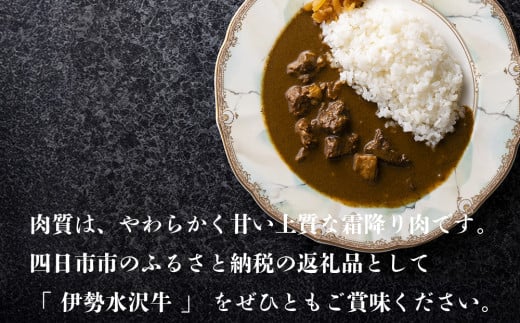 伊勢水沢牛（いせすいざわぎゅう）レトルトカレー 6個入り　三重畜産【国産牛 牛肉 牛 お肉 肉 カレー ビーフカレー 三重県 四日市市】