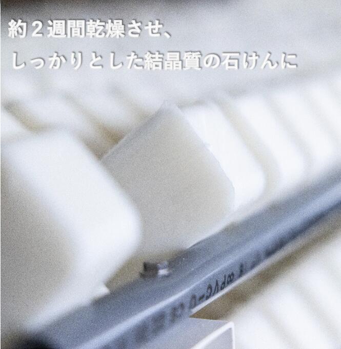 オリブ浴用石けん　１０個入り１箱 1箱