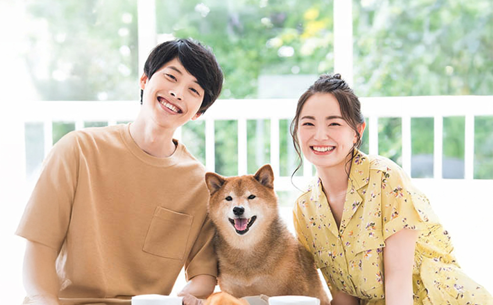 アニマルペットシータラクト 60カプセル入り×2箱