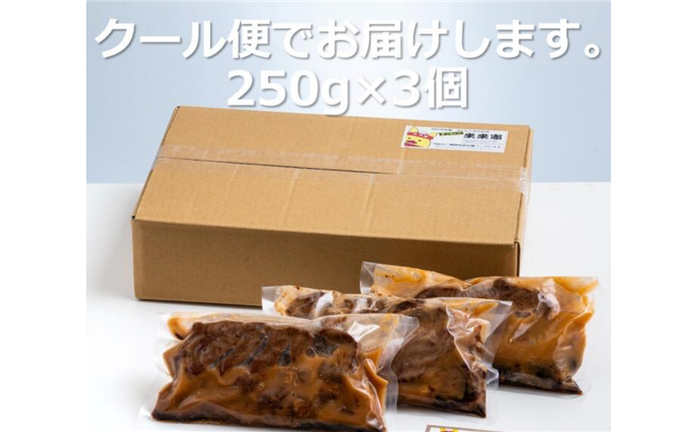 TV番組で紹介多数！「まつもとの来来憲」の元祖・四日市名物 大とんてき 3個　【元祖 とんてき 厳選 三重県産豚 肩ロース 豚 豚肉 肉 秘伝のたれ 病みつきの味 グルメ 簡単調理 湯銭 ギフト 贈り物 三重県 四日市市】 3個