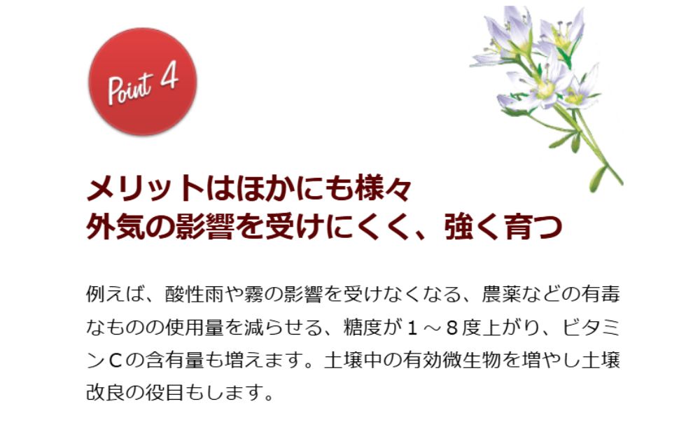 野菜作りや園芸に。プロご用達「HB-101」 1L 1本 1L