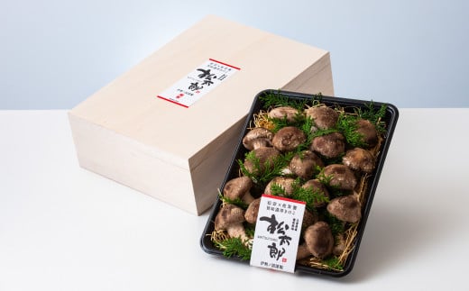 【新しいキノコ　伊勢の国「松太郎」】松太郎ギフト（生詰め合わせ）