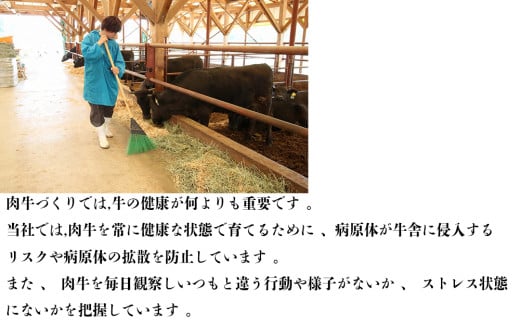 伊勢水沢牛（いせすいざわぎゅう）レトルトカレー 6個入り　三重畜産【国産牛 牛肉 牛 お肉 肉 カレー ビーフカレー 三重県 四日市市】