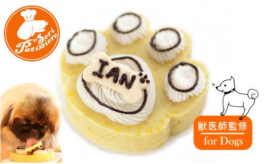 犬用ケーキ・アレルギーフリーDecoパウ・獣医師監修 アレルギーフリーDecoパウ