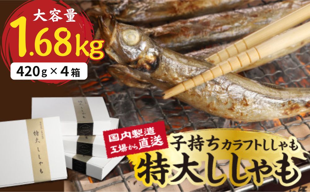 国内加工　特大ししゃも　4箱セット