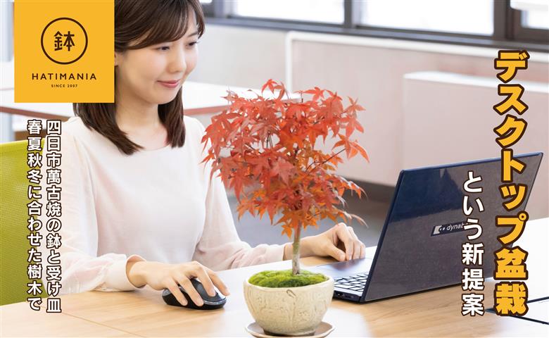 「デスクトップ盆栽」という新提案を四日市から（ミニチュアなし） ミニチュアなし