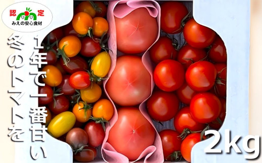 鈴鹿山麓トマト「ハウス桃太郎」、「レッドオーレ」、「カラフルミニ」の3種詰め合わせ（合計2kg入り）【トマト ミニトマト 採れたて 自然 栽培 水耕栽培 野菜 甘い あまい おいしい 美味しい 三重県 四日市市 ふるさと納税】 3種詰め合わせ(2kg)
