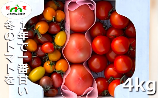 鈴鹿山麓トマト「ハウス桃太郎」、「レッドオーレ」、「カラフルミニ」の3種詰め合わせ（合計4kg）【トマト ミニトマト 採れたて 自然 栽培 水耕栽培 野菜 甘い あまい おいしい 美味しい 三重県 四日市市 ふるさと納税】 3種詰め合わせ(4kg)