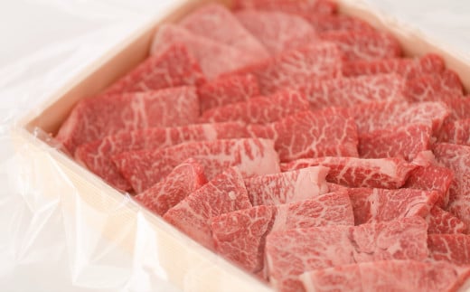 伊勢水沢牛（いせすいざわぎゅう）焼肉用　500g　三重畜産【国産牛 牛肉 お肉 肉 すき焼き しゃぶしゃぶ 三重県 四日市市】