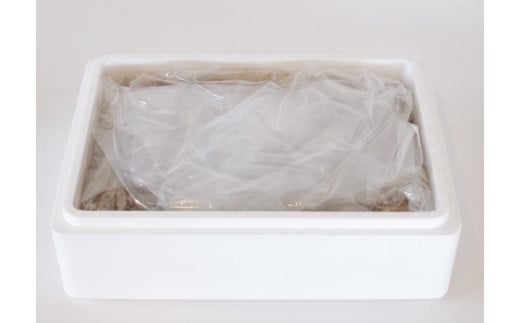 1573　老舗 漬物屋 ぬか床 1kg 林商店 ふるさと納税 ぬか漬け 漬物ライフ つけもの 腸活 伊勢市 伊勢志摩 三重 伊勢沢庵 各種漬物 製造本舗 お取り寄せ 和食 ごはんのお供 ご飯がススム 伝統の味