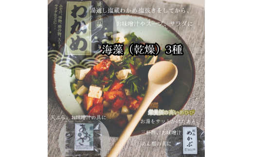 1447　美し三重の国　三重特産品詰合せセット　海苔　海　海産物　特産品　カルシウム　食物繊維　天然物　伊勢　伊勢市　三重県　佃煮