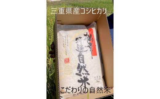 1451　特選自然米　コシヒカリ　10㎏　お米10㎏　米10㎏　厳選　生産販売　自社精米　直送　三重　伊勢　新鮮　コシヒカリ　ギフト