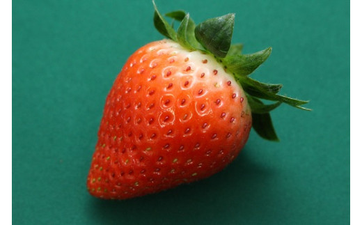 1718　かおり野　いちご