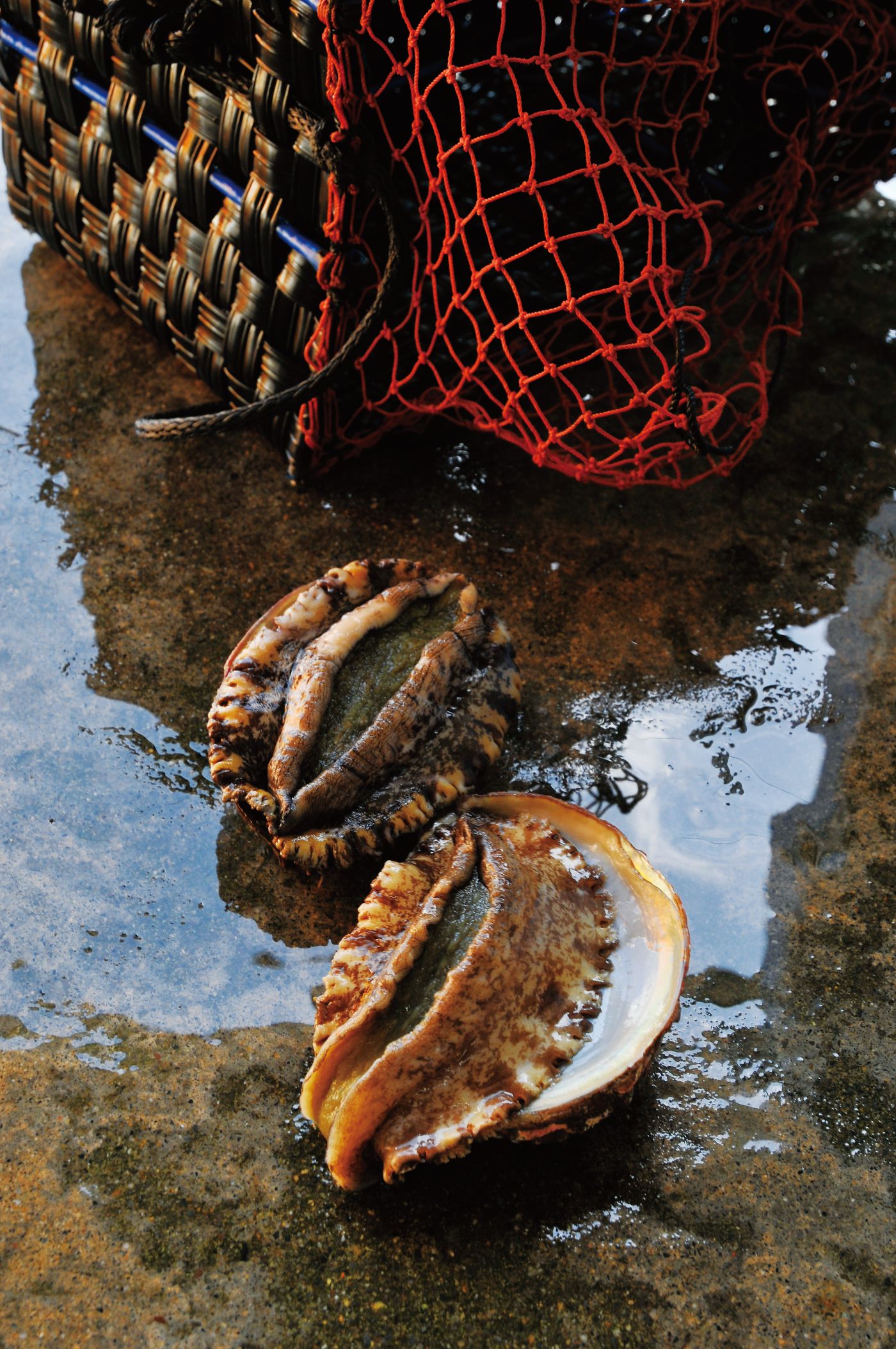 1754　〈伊勢せきや〉鮑ステーキ ステーキ 豪華 プレゼント 天然黒鮑 あわび