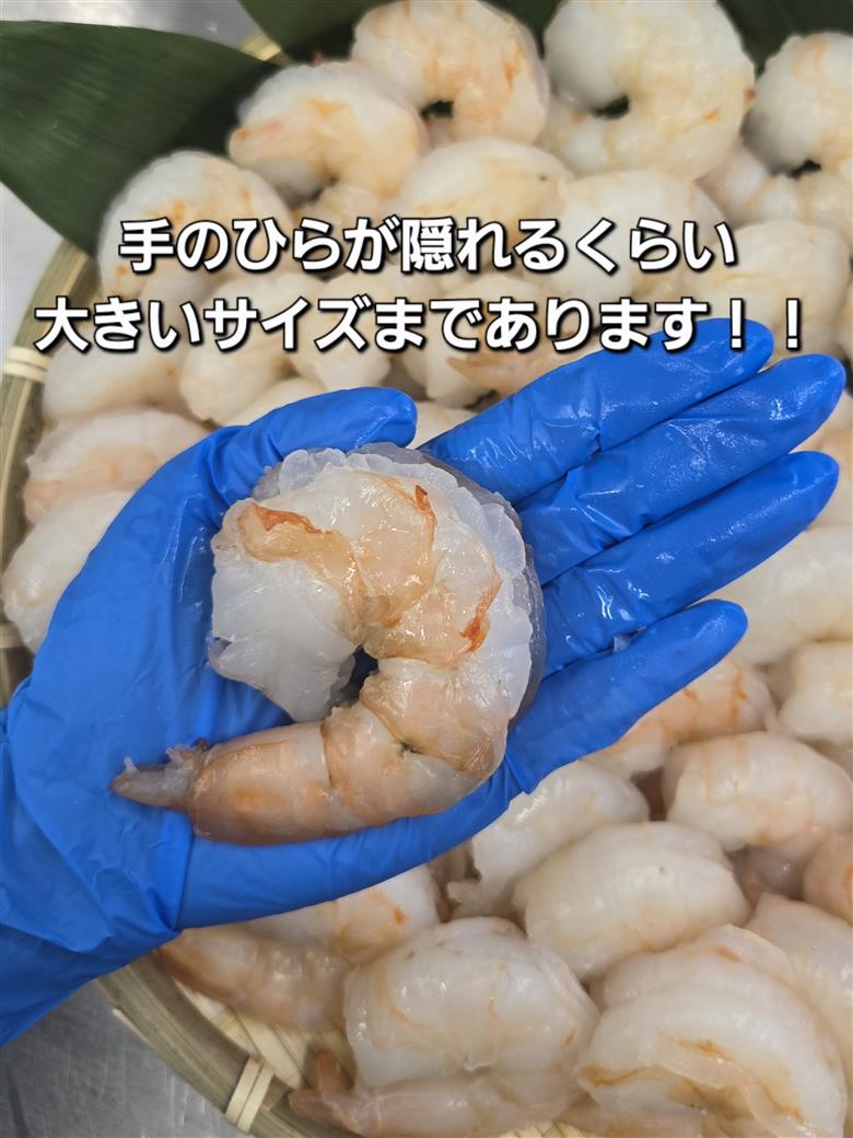 1809　伊勢で加工した(養殖）大粒むきえび1Kg袋×2セット　背ワタ無し プリプリ ブリブリ 冷凍 お弁当 おかず 魚介類 三重県 伊勢市 下処理不要 海鮮 大容量 時短