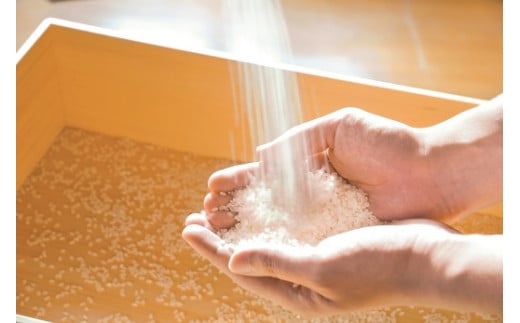 823　〈伊勢のくに　匠の一座〉匠の穂　お伊勢さんのお米詰め合せ（2.7kg）　縁起米　イセヒカリ　ギフト　契約栽培