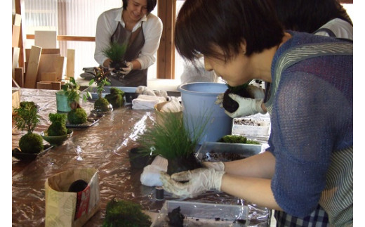 1107おかげ横丁　苔玉作り体験　苔玉作り　苔テラリウム　小さなコケ　苔玉　育て方　観賞　苔玉栽培　苔