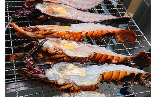 1258　伊勢海老の干物　伊勢海老　干物　三重県ブランド認定第一号