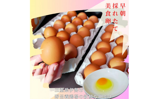 1520 こだわり 自慢のたまご 美食卵 30個 伊勢産 野呂養鶏場 ふるさと納税 玉子 国産 新鮮 濃厚 たまご 卵 生卵 とれたて 卵かけごはん TKG お取り寄せ グルメ 伊勢志摩 三重県 伊勢市