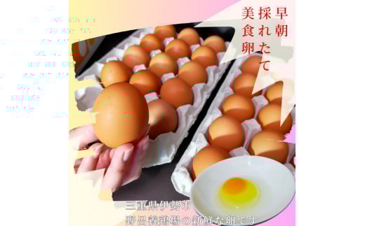 1521 こだわり 自慢のたまご 美食卵 60個 伊勢産 野呂養鶏場 ふるさと納税 玉子 国産 新鮮 濃厚 たまご 卵 生卵 とれたて 卵かけごはん TKG お取り寄せ グルメ 伊勢志摩 三重県 伊勢市