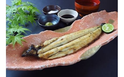 1663　伊勢うなぎの詰め合わせセット　鰻　ウナギ　ふっくら　香ばしい　白焼き　蒲焼き　かばやき　肝焼き　清流宮川　伊勢志摩　伊勢市産　秘伝のタレ　うな重　うな丼　ひつまぶし　国産