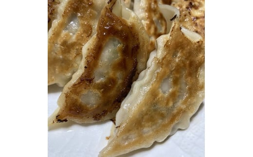 1169おかんの手作り餃子（10個入×5袋）　餃子　手作り　一志SPポーク　まるとも　冷凍