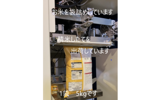 1448　特選米　コシヒカリ　5㎏　お米5㎏　米5㎏　生産販売　自社精米　直送　三重　伊勢　新鮮　コシヒカリ　ギフト