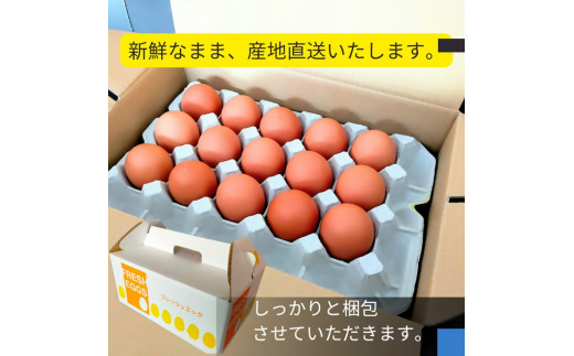 1520 こだわり 自慢のたまご 美食卵 30個 伊勢産 野呂養鶏場 ふるさと納税 玉子 国産 新鮮 濃厚 たまご 卵 生卵 とれたて 卵かけごはん TKG お取り寄せ グルメ 伊勢志摩 三重県 伊勢市