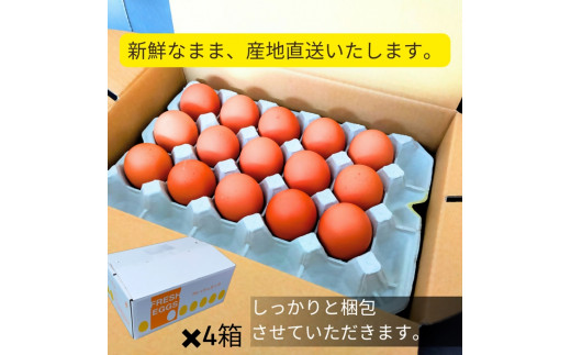 1522 こだわり 自慢のたまご 美食卵 120個 伊勢産 野呂養鶏場 ふるさと納税 玉子 国産 新鮮 濃厚 たまご 卵 生卵 とれたて 卵かけごはん TKG お取り寄せ グルメ 伊勢志摩 三重県 伊勢市