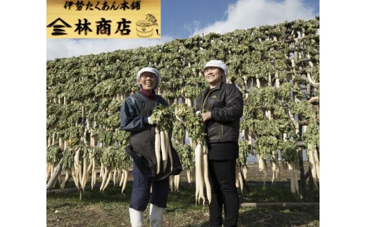 1575　伊勢たくあん 2年物 熟成 発酵 小パック 3袋 老舗漬物屋 林商店 ふるさと納税 漬物 つけもの 腸活 伊勢市 伊勢志摩 三重 伊勢沢庵 各種漬物 製造本舗 お取り寄せ 和食 米がススム