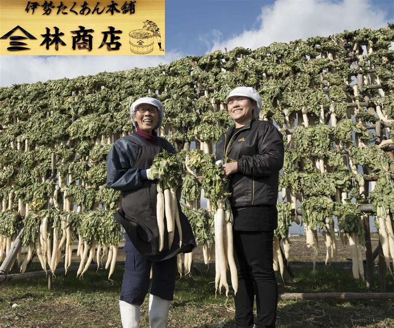 1719　伊勢志摩産　無添加　熟成　梅干　五ヶ所　小梅　100g　4個　計400g　塩分10%　ふるさと納税　訳あり　うめ　梅　手作り　うめぼし　送料無料　三重　伝統の味　老舗　伊勢　沢庵の林商店