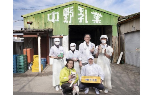 371中野ヨーグルトお楽しみセット　ヨーグルト 牛乳 発酵食品 美味しい 12個入り 乳酸菌 なめらか 瓶牛乳 乳製品 瓶ヨーグルト レトロ