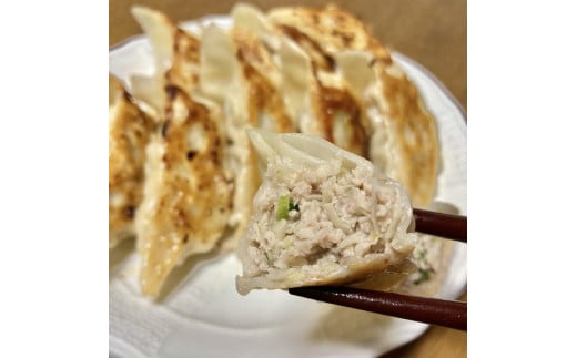 1169おかんの手作り餃子（10個入×5袋）　餃子　手作り　一志SPポーク　まるとも　冷凍