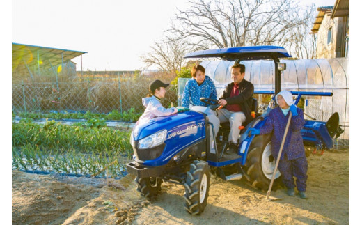 1254無添加ばぁばの干しいも　5袋セット　おやつ 健康 プレゼント スポーツ 伝統