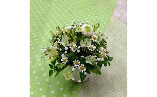 1316マイスターが制作する季節のフラワーアレンジメント　アレンジメント 花 フラワー 季節 マイスター フラワーデザイン フラワーアレンジメント