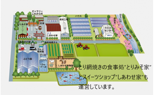 1451　特選自然米　コシヒカリ　10㎏　お米10㎏　米10㎏　厳選　生産販売　自社精米　直送　三重　伊勢　新鮮　コシヒカリ　ギフト