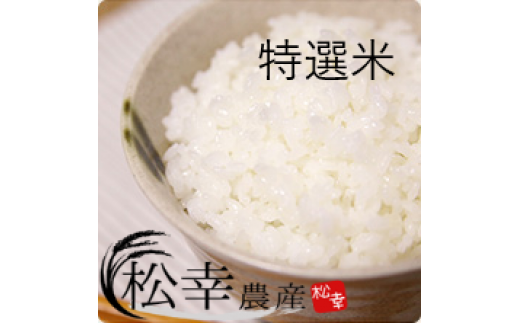 1449　特選米　コシヒカリ　10㎏　お米10㎏　米10㎏　生産販売　自社精米　直送　三重　伊勢　新鮮　コシヒカリ　ギフト