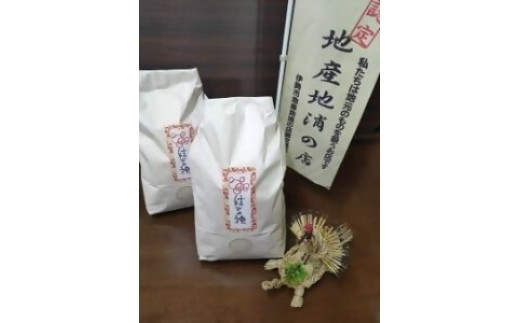 1872 精米発送（玄米5ｋｇを精米してから発送するため1割ほど目減りします）令和7年産結びの神　数量限定 ご飯 お米 コメ 5キロ 白米 伊勢市 伊勢市産 伊勢志摩 三重県 米粒が大きい つや べたつき少ない もちもち ふっくら 大西農園