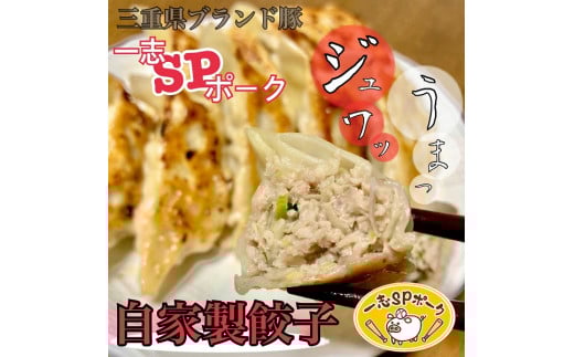 1169おかんの手作り餃子(10個入×5袋) 餃子 手作り 一志SPポーク まるとも 冷凍