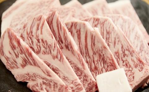 【12-13】松阪牛ロース　定期便（2月～5月発送）