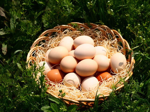 【1.3-36】【卵】松阪うまれのいきいきたまご（90個入り（割れ補償含む））