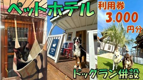 【1-392】ペットホテル利用券3,000円分