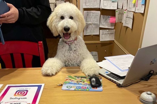 【1.7-14】ペットホテル利用券5,000円分