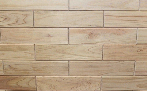 【1-124】桧たいる（22枚）