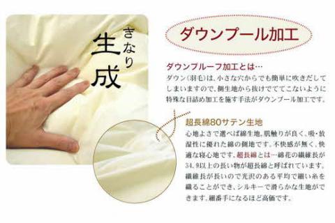 【55-1】ザ・羽毛布団 プレミアムゴールドラベル クイーン 210×210cm　ポーランド産ホワイトマザーグースダウン95％ 日本羽毛製品協同組合 品質推奨ラベル付き 羽毛 掛け布団 【251-00