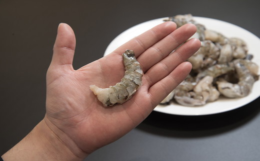 【1.1-15】ブラックタイガーむき身（背ワタ処理済み）　特大サイズ1kg（解凍時800g前後）特製エビチリソース付き