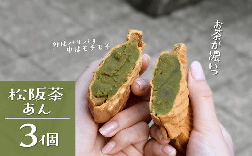 たい焼き（松阪香肌屋特製）10個セット【1.1-23】