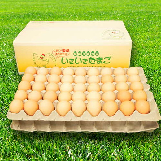 【1.3-36】【卵】松阪うまれのいきいきたまご（90個入り（割れ補償含む））